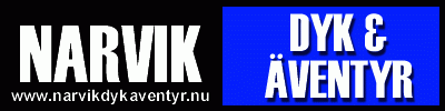 Narvik Dyk & &Auml;ventyr